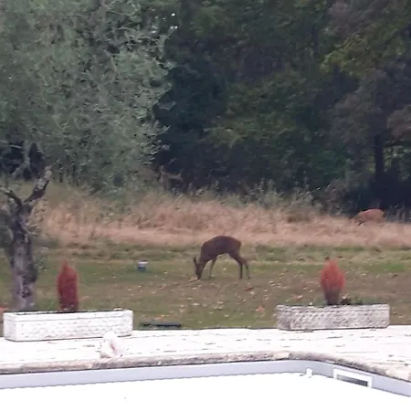 Domaine Fontcouverte *