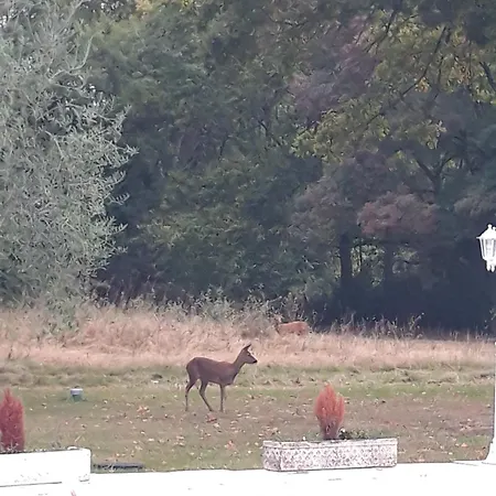 Domaine Fontcouverte * Fontcouverte (Charente-Maritime)