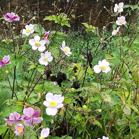 Gæstehus Domaine Fontcouverte *