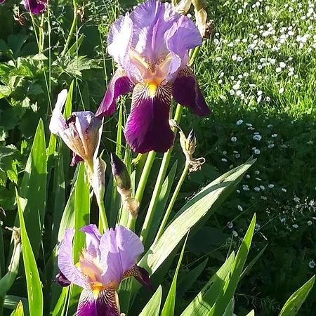 Gæstehus Domaine Fontcouverte