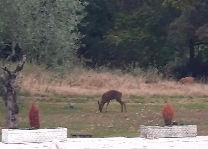 Domaine Fontcouverte *