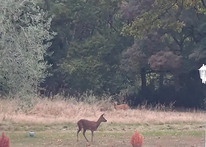 Domaine Fontcouverte * Fontcouverte