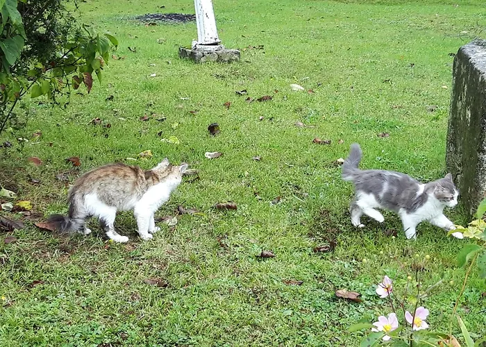 Domaine Fontcouverte