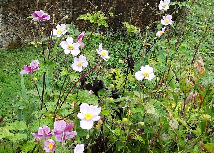 ゲストハウス Domaine Fontcouverte *