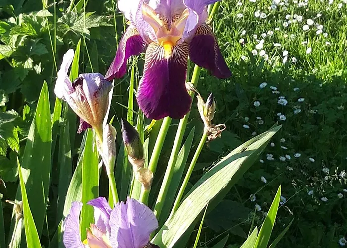 ゲストハウス Domaine Fontcouverte